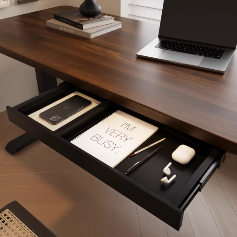 Premium uittrekbare opberglade - Desk Setup For Office recensie en prijs
